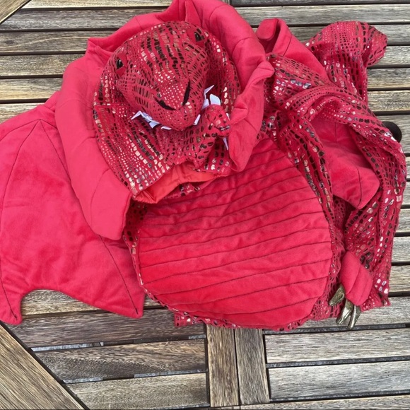 Pottery Barn Kids Costumes Pottery Barn Kids Red Dragon Costume 78